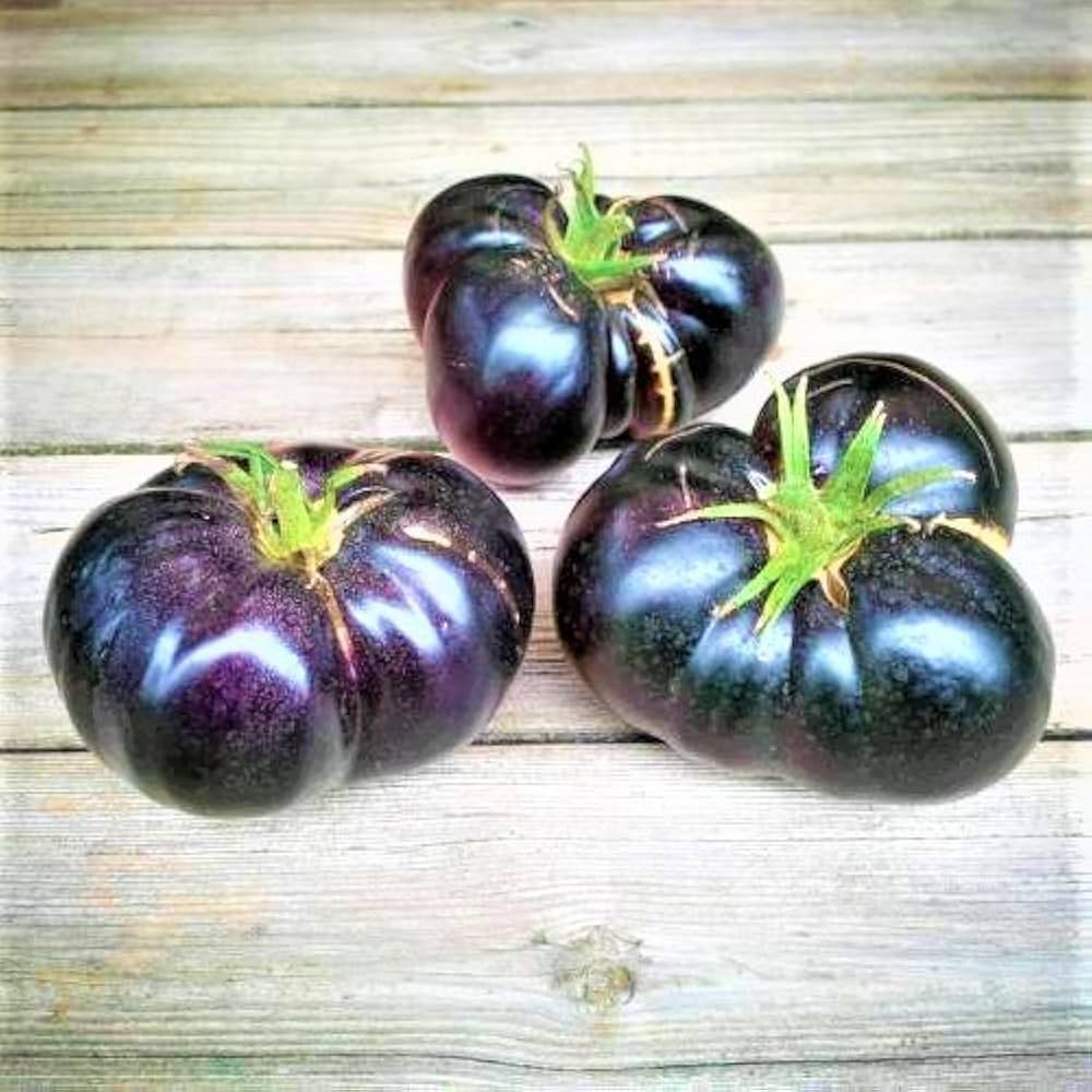 Brandywine (Black tomato) for planting in garden
